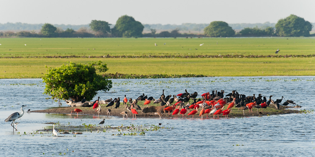 Hato El Cedral